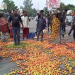 Shajapur News शाजापुर में किसानों का फूटा गुस्सा, सड़क पर फेंके टमाटर – मंडी विवाद गरमाया