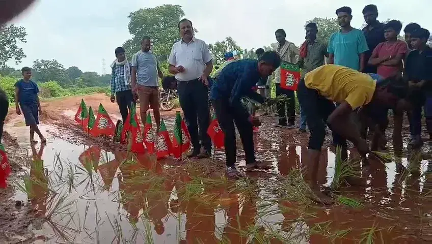 खराब सड़क पर ग्रामीणों ने भाजपा का झंडा और रोपा लगाकर किया प्रदर्शन, सरकार से लगाई गुहार