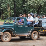 कान्हा नेशनल पार्क प्रारंभ, सैलानियों में उत्साह,, बाघ व बारहसिंगा के लिए प्रसिद्ध है कान्हा पार्क
