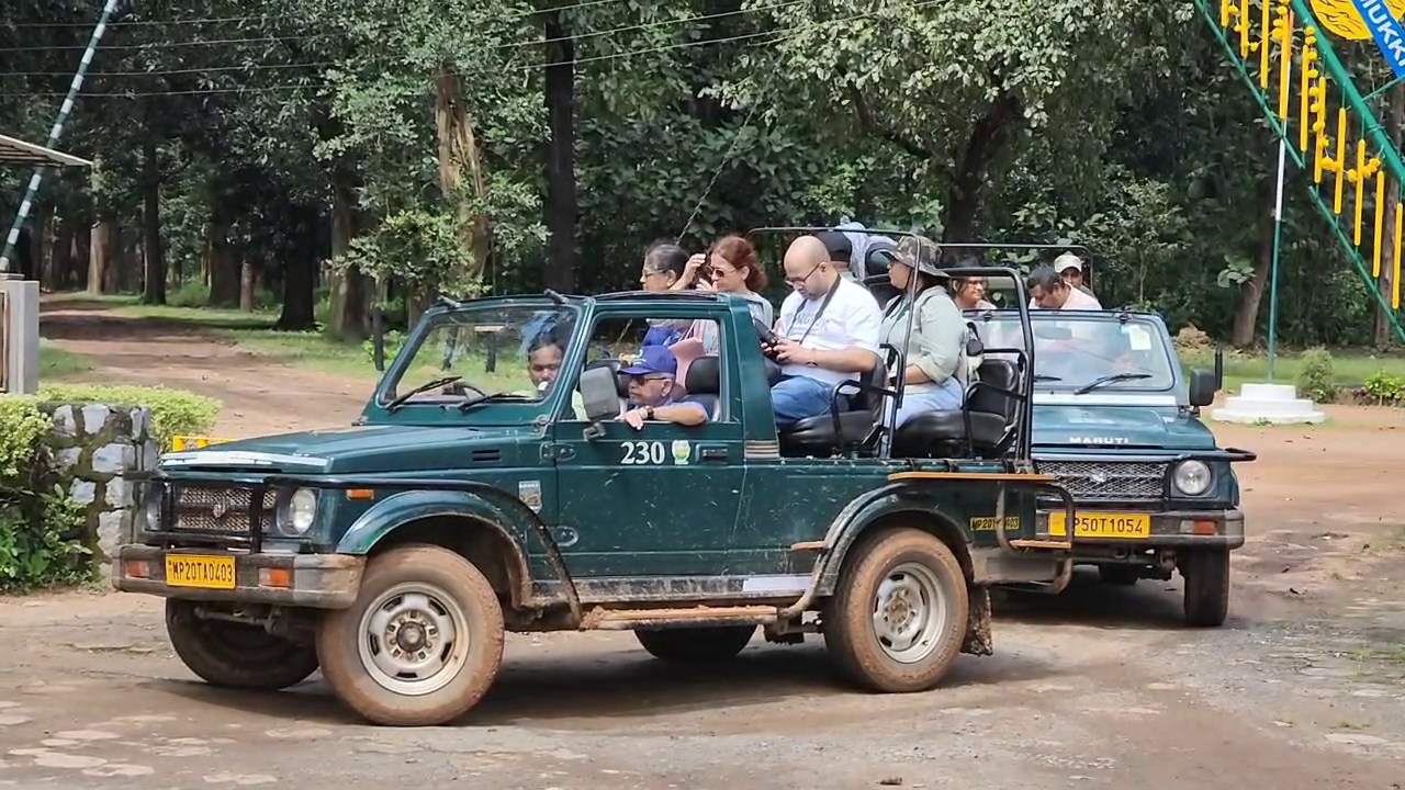 कान्हा नेशनल पार्क प्रारंभ, सैलानियों में उत्साह,, बाघ व बारहसिंगा के लिए प्रसिद्ध है कान्हा पार्क
