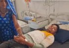 नाग पंचमी पर पूजा करने जा रहे युवक को जहरीले सांप ने डसा, बड़वारा अस्पताल में भर्ती; हालत स्थिर
