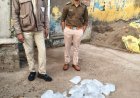 अवैध मदिरा संग्रहण एवं विक्रय के विरुद्ध आबकारी विभाग की लगातार कार्रवाई