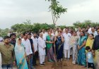 चार वर्ष पूर्ण होने पर नगर निगम ने मनाया हरियाली उत्सव