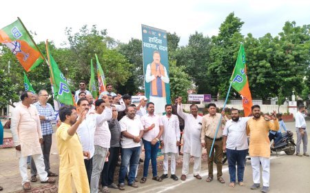 गजेंद्र सिंह पटेल को BJP का राष्ट्रीय महामंत्री बनाए जाने पर बड़वानी में जश्न, कार्यकर्ताओं ने की आतिशबाजी