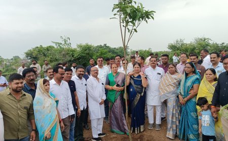 चार वर्ष पूर्ण होने पर नगर निगम ने मनाया हरियाली उत्सव